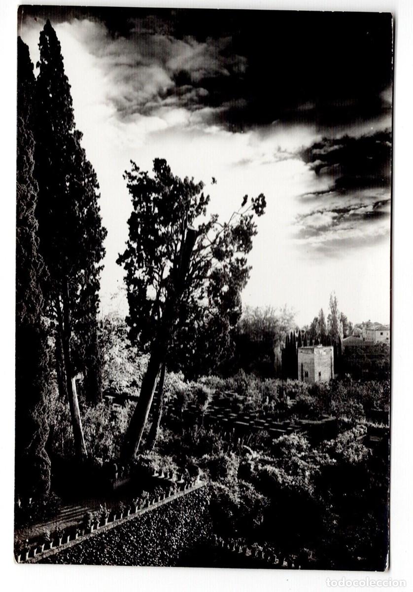 Cartes Postales: POSTAL DE GRANADA, JARDINES DEL GENERALIFE (CIRCULADA EN 1959)