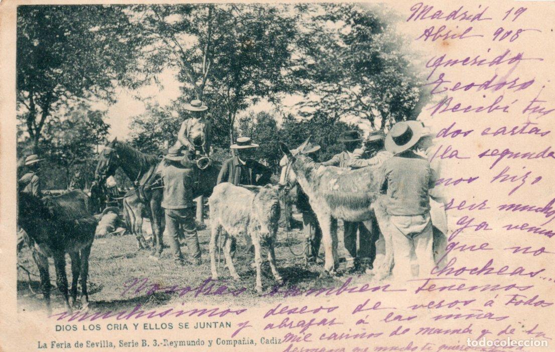 Postais: POSTAL SEVILLA - DIOS LOS CRIA Y ELLOS SE JUNTAN - LA FERIA DE SEVILLA - SERIE B.3 -REYMUNDO Y CIA.