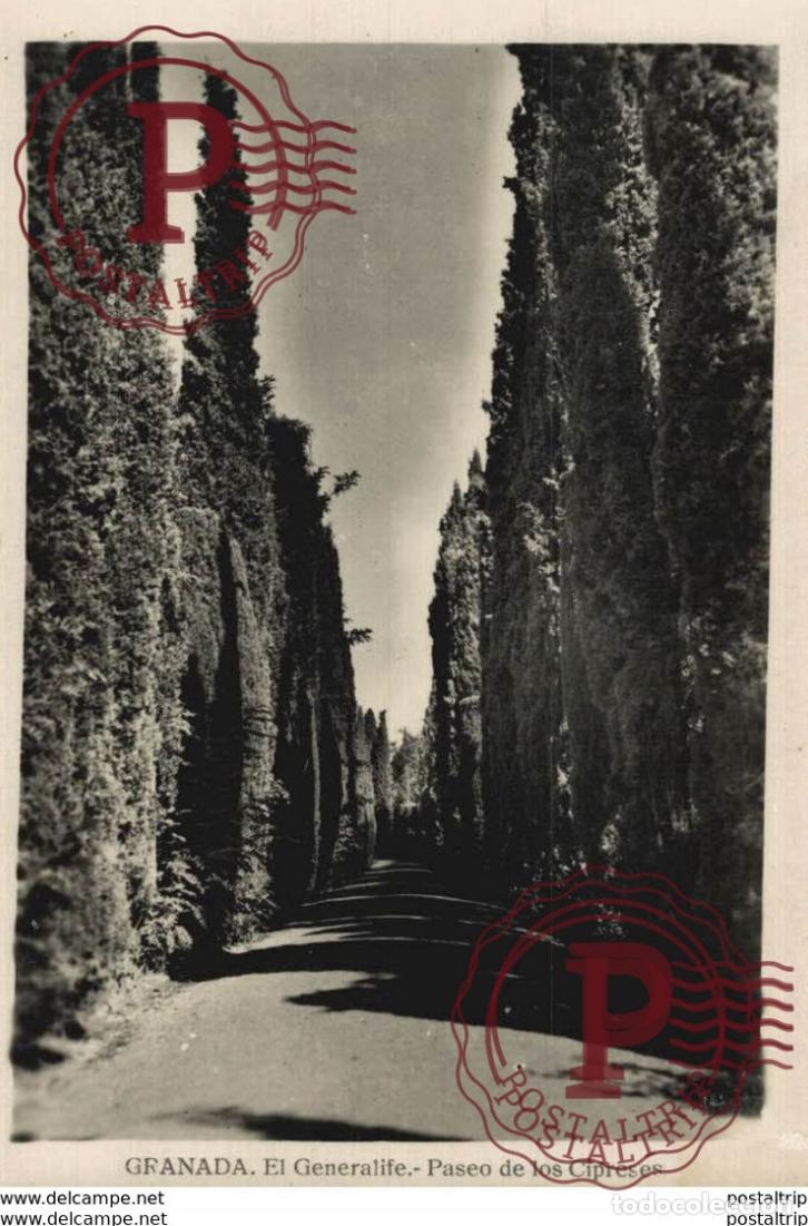 Postales: GRANADA. EL GENERALIFE PASEO DE LOS CIPRESES