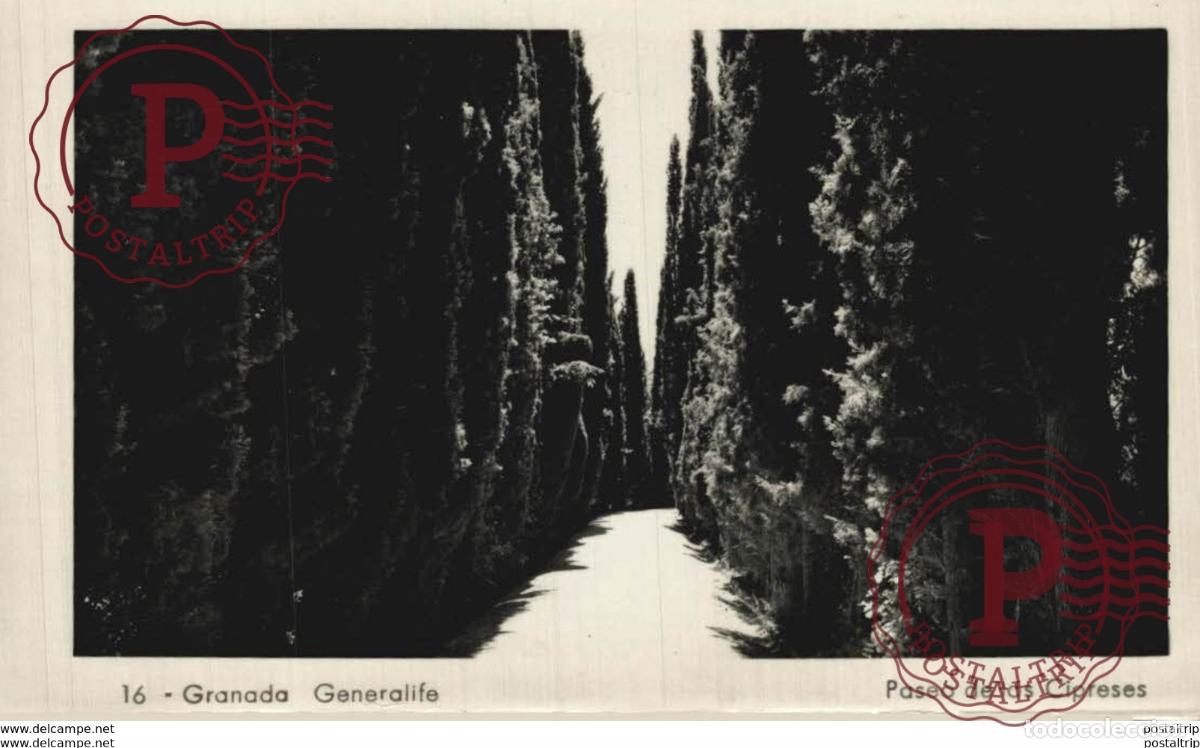 Postais: GRANADA. GENERALIFE. PASEO DE LOS CIPRES