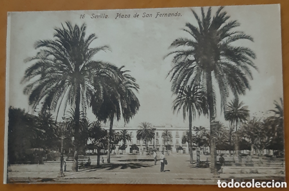 Postais: Postal Sevilla. Plaza de San Fernando. Sin escribir. R10306