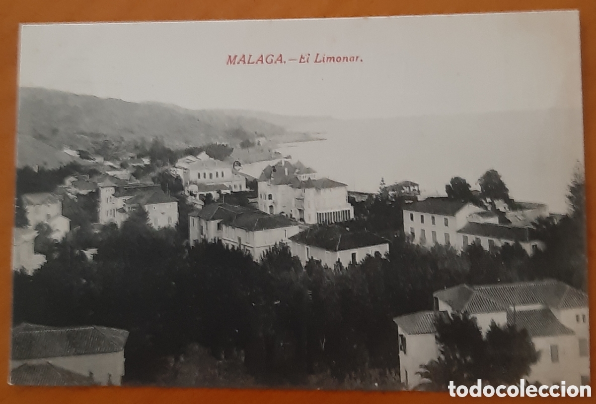 Postais: Postal M&aacute;laga. El Limonar. Sin escribir. R10313