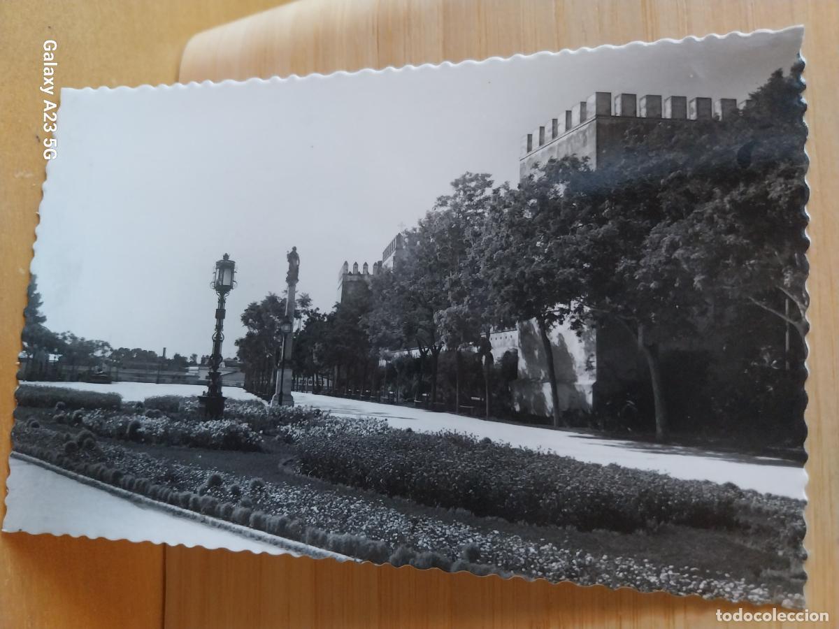 Postcards: JEREZ DE LA FRONTERA ALAMEDA FORTUN DE TORRES ED GARRABELLA 2 SC ORIGINAL ANIMADA