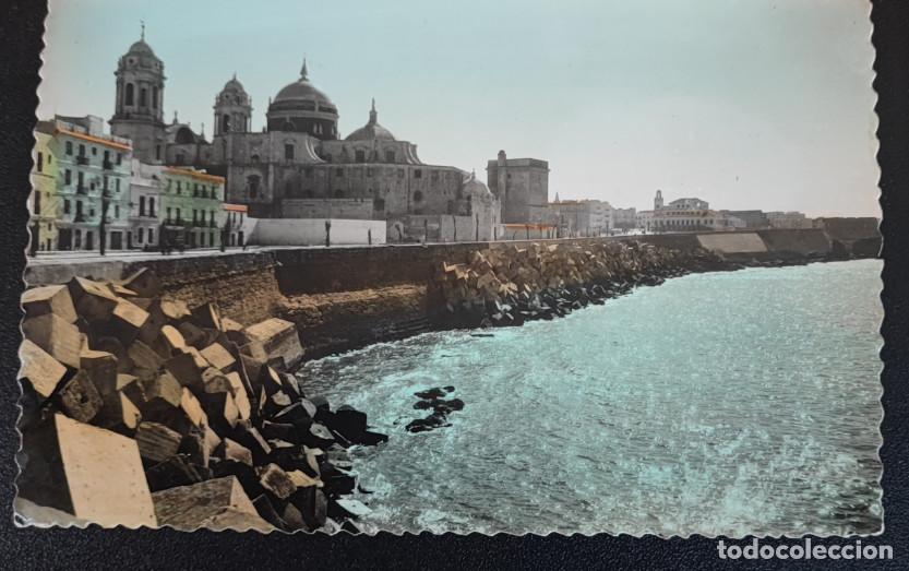 Postales: CADIZ, CAMPO DEL SUR Y CATEDRAL, POSTAL ANTIGUA