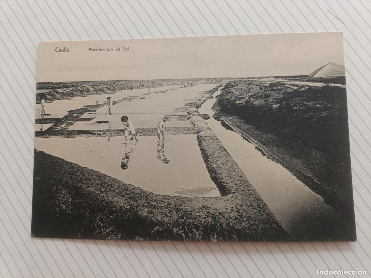 Postales: C&aacute;diz. Salinas, postal antigua original