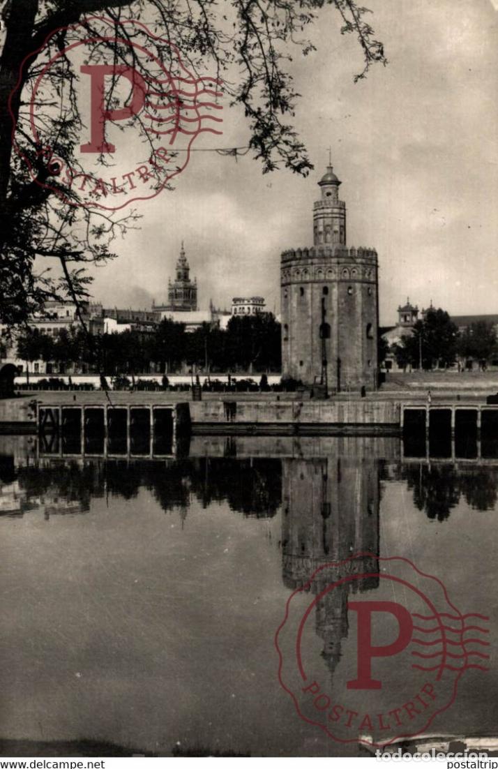 Postcards: SEVILLA - TORRE DEL ORO ANDALUCIA ESPA&Ntilde;A ESPAGNE