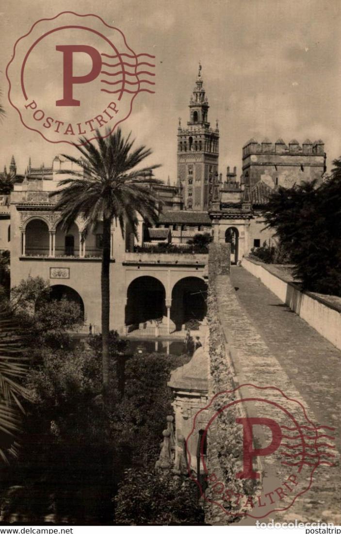 Postcards: SEVILLA - LA GIRALDA DESDE LOS REALES ALCAZARES ANDALUCIA ESPA&Ntilde;A ESPAGNE