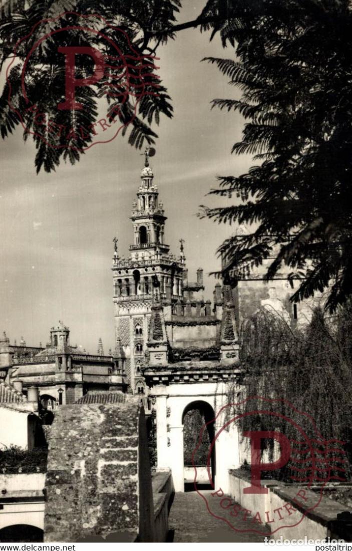 Postales: SEVILLA - LA GIRALDA DESDE EL ALCAZAR ANDALUCIA ESPA&Ntilde;A ESPAGNE