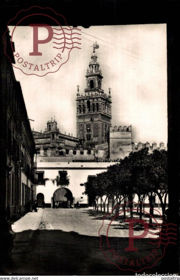 Postales: SEVILLA - LA GIRALDA DESDE EL PATIO DE BANDERAS ANDALUCIA ESPA&Ntilde;A ESPAGNE