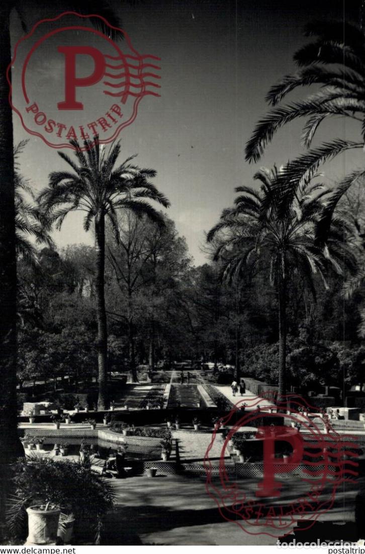 Postales: SEVILLA. UNA VISTA DEL PARQUE MARIA LUISA.