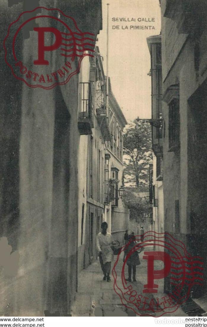 Postales: SEVILLA- CALLE DE LA PIMIENTA. SEVILLA ANDALUCIA ESPA&Ntilde;A ESPAGNE