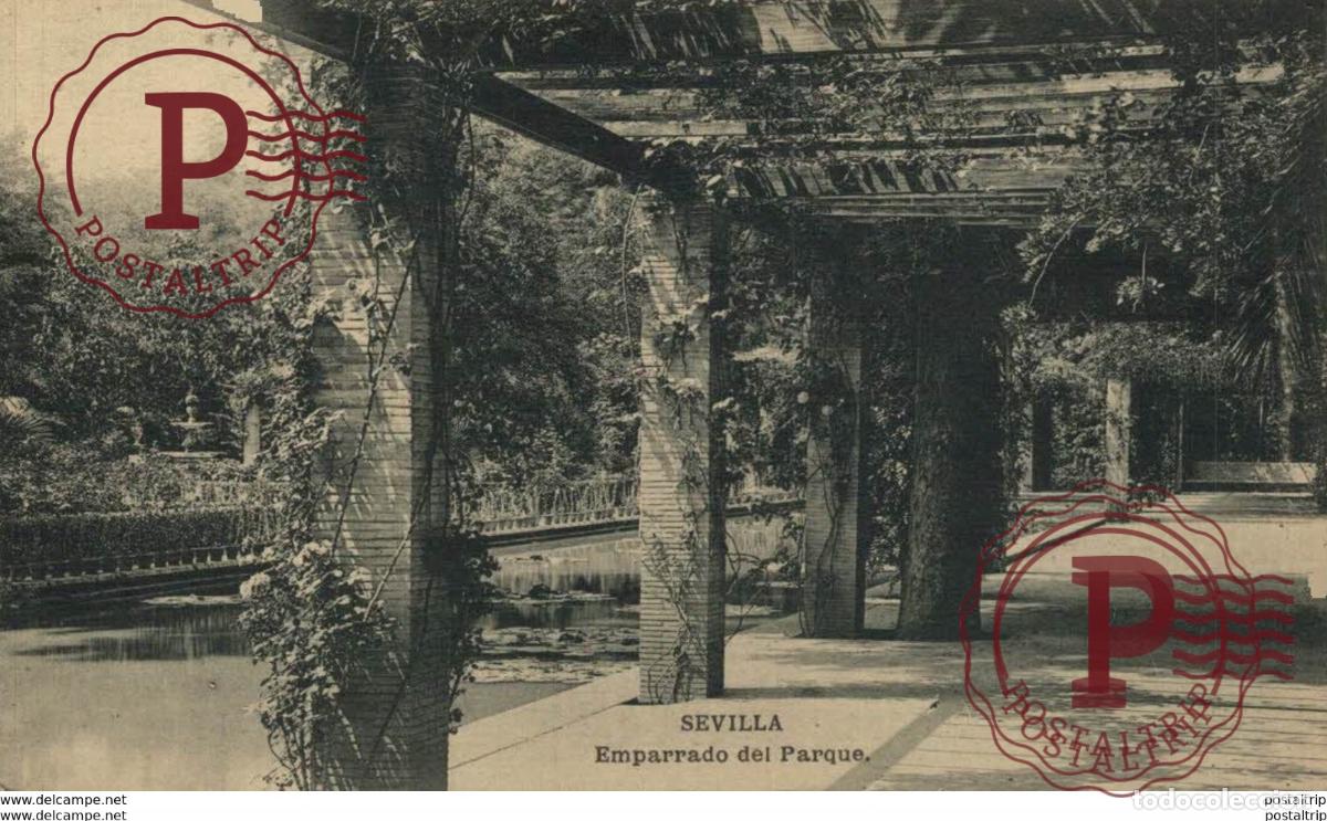 Postales: SEVILLA- EMPARRADO DEL PARQUE. SEVILLA ANDALUCIA ESPA&Ntilde;A ESPAGNE