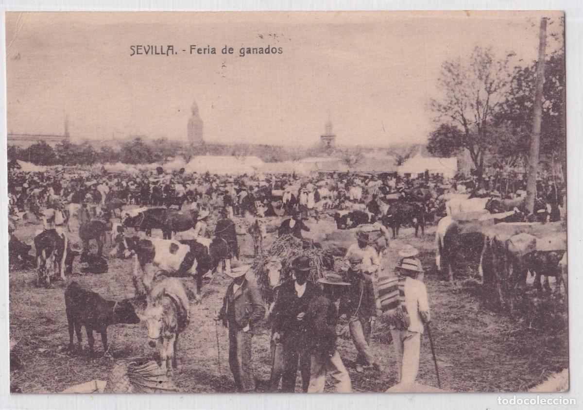 Postales: SEVILLA. Feria de ganados. c. r. s 121 circulada.