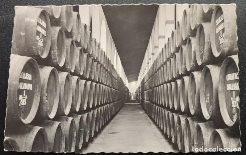 Postales: GARVEY, BODEGAS DE SAN PATRICIO, JEREZ DE LA FRONTERA, POSTAL ANTIGUA