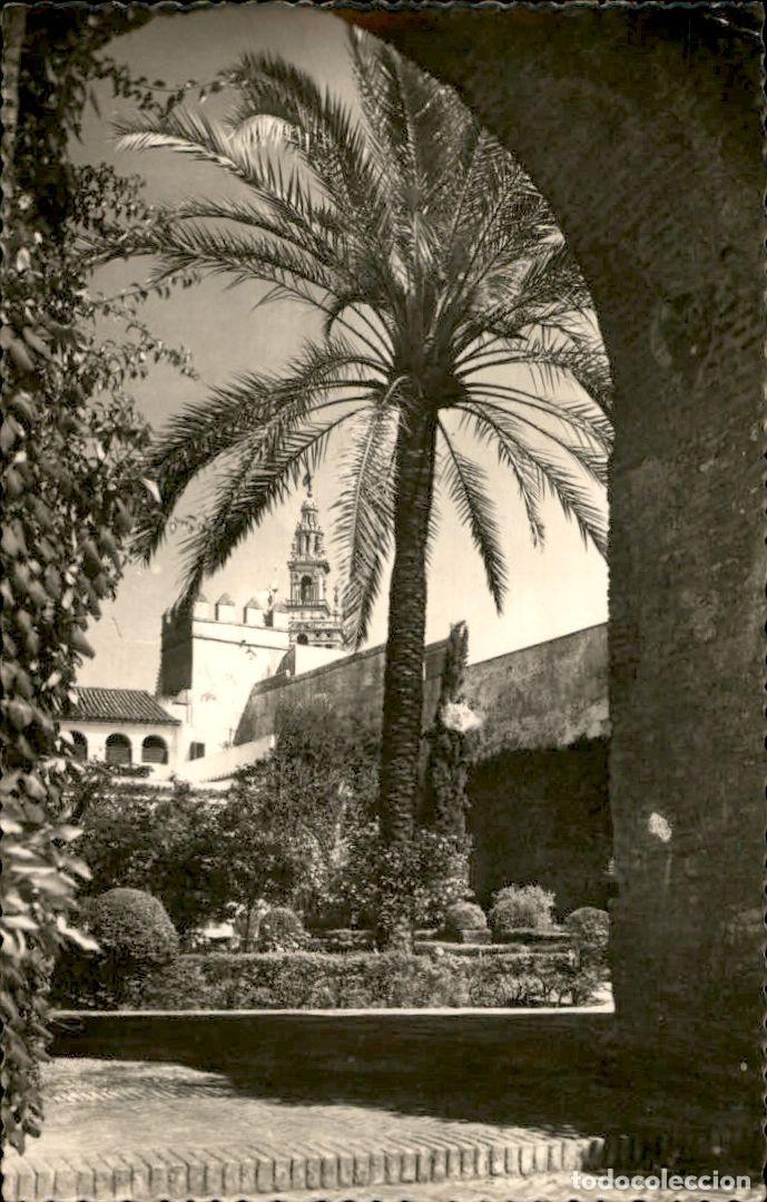 Postales: Sevilla - Los Alcazares Patio del Le&oacute;n - Garabella
