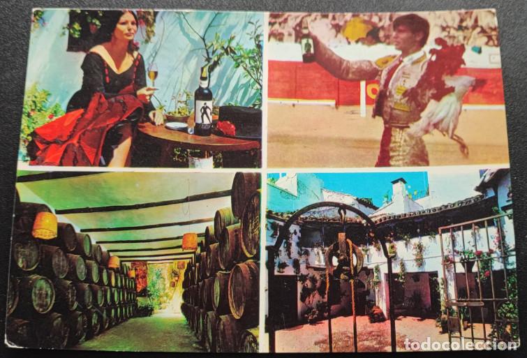 Postales: BODEGAS CAMPOS DE CORDOBA, EL CORDOBES, MORILES ANTONIO, PATIO, NAVE CON FIRMAS, POSTAL ANTIGUA