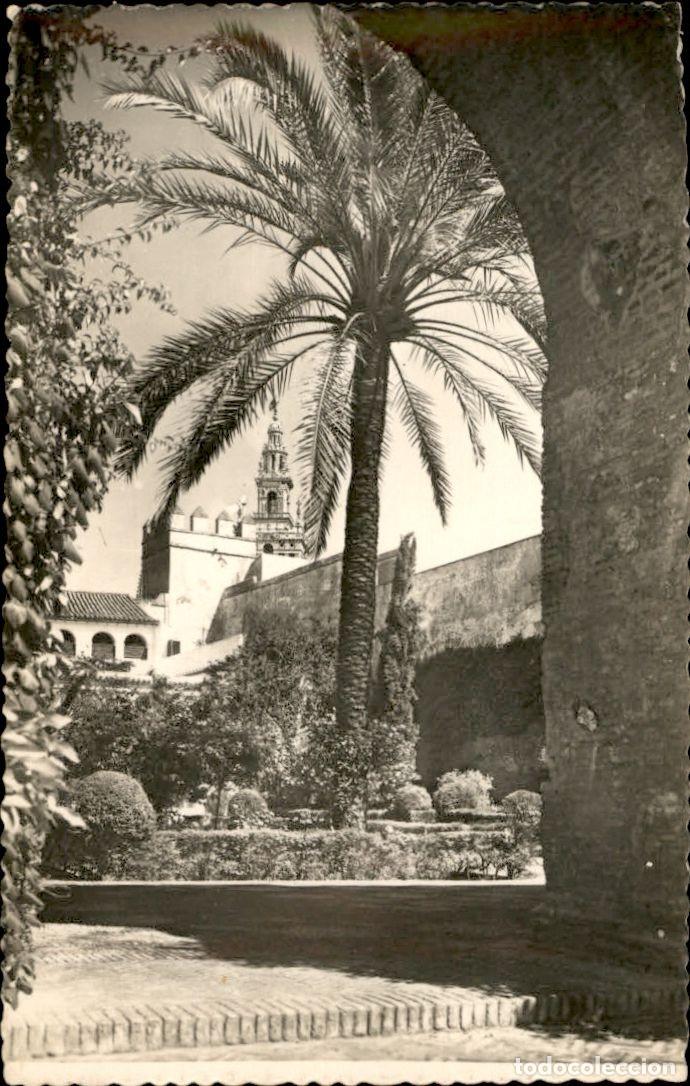 Postales: Sevilla - Los Alcazares - Patio del Leon