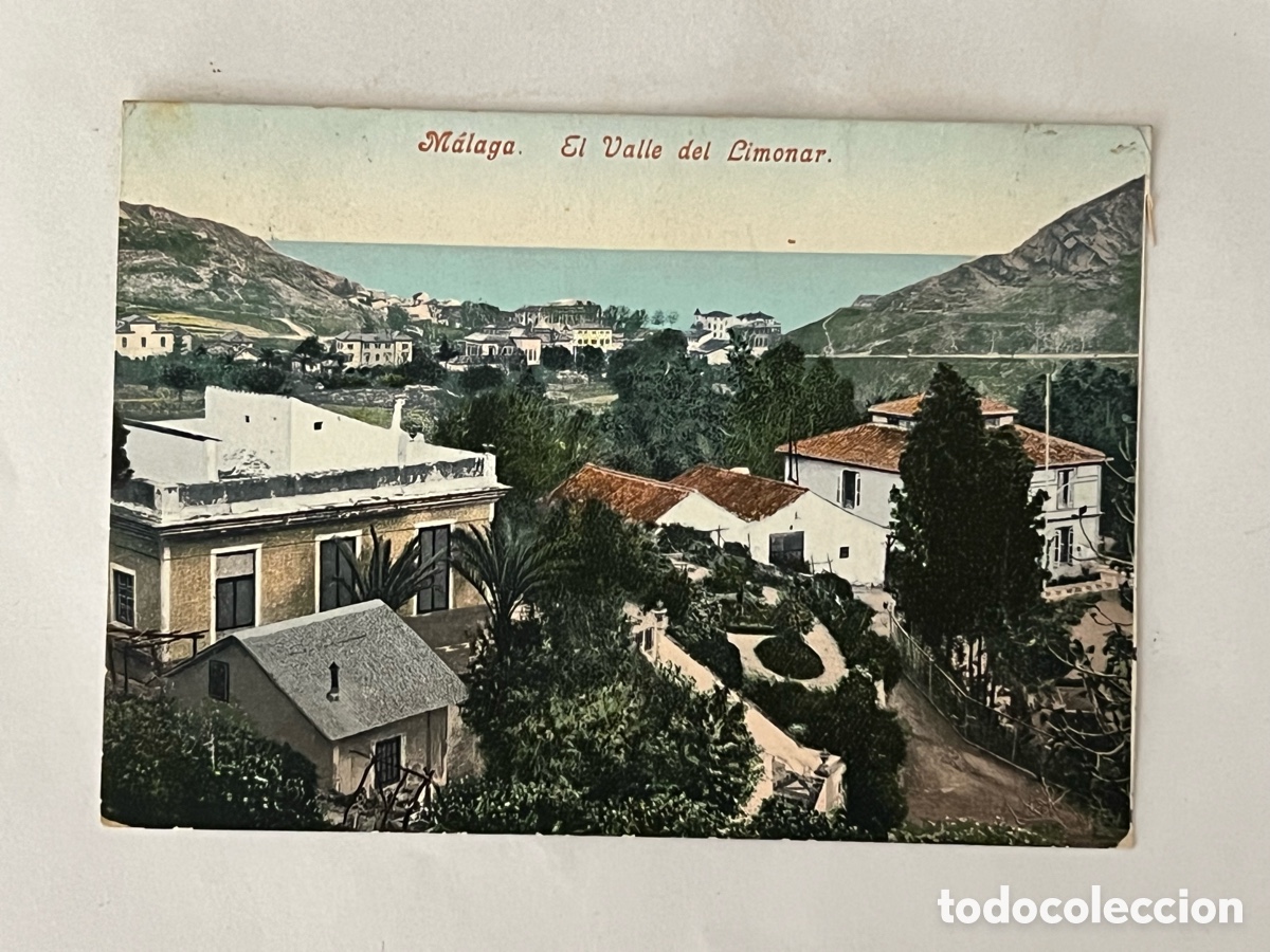 Postales: M&Aacute;LAGA. Postal El Valle del Limonar. Edici&oacute;n Purger & Co. Alemania (a.1905) circulada
