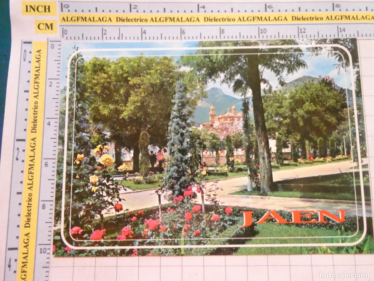 Postales: POSTAL DE JAEN. A&Ntilde;O 1981. ALAMEDA CALVO SOTELO 63 ARRIBAS. 4001