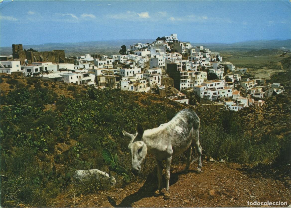 Postales: N&ordm; 35-MOJ&Aacute;CAR. Almer&iacute;a. Vista general. Sin circular. ED. LIBRO ALMER&Iacute;A
