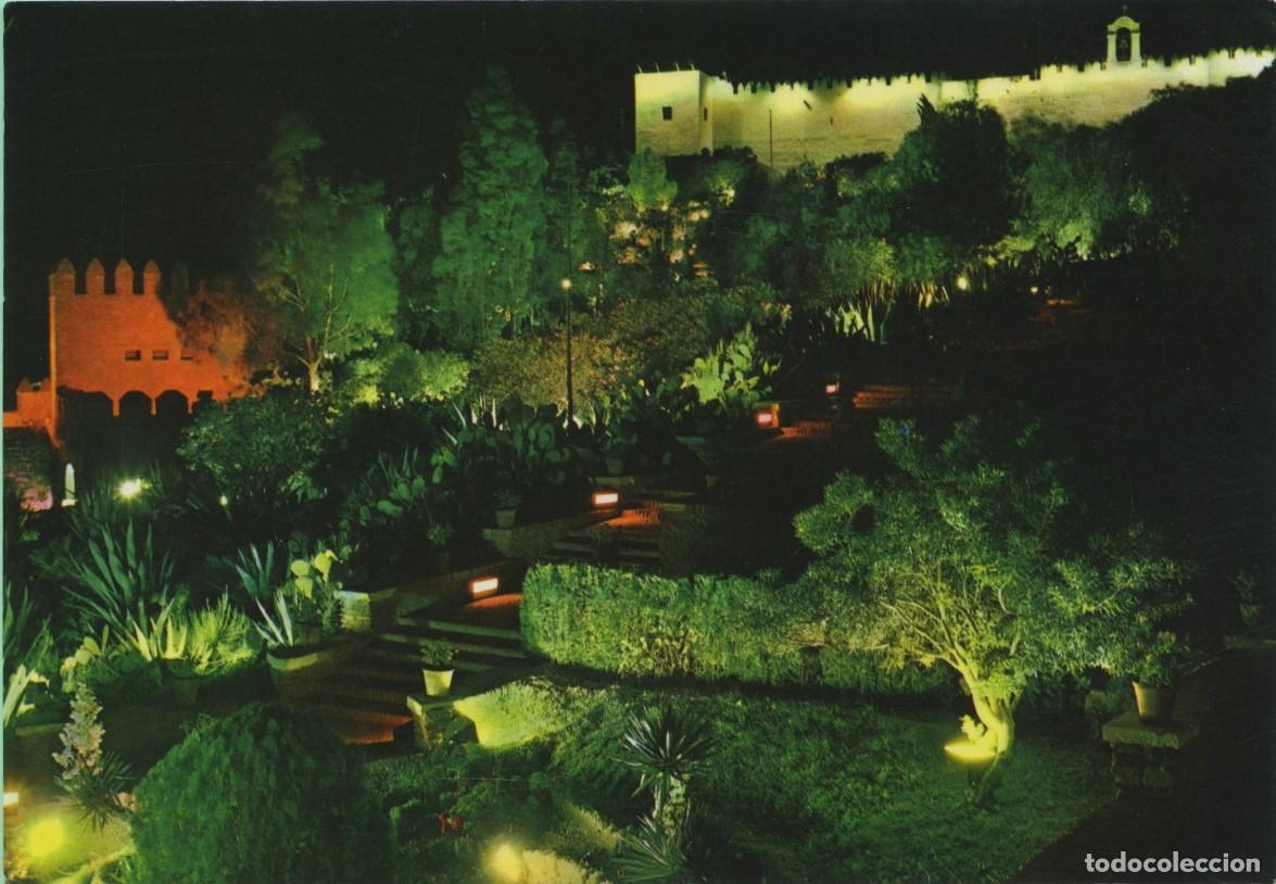 Postales: N&ordm; 2029-ALMER&Iacute;A. Jardines de La Alcazaba (Nocturna). Sin circular. EDICIONES ARRIBAS