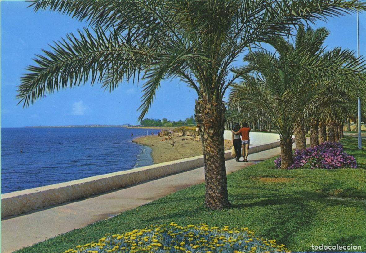 Postales: N&ordm; 5-AGUADULCE. Almer&iacute;a. Paseo Mar&iacute;timo. Sin circular. EDICIONES ARRIBAS