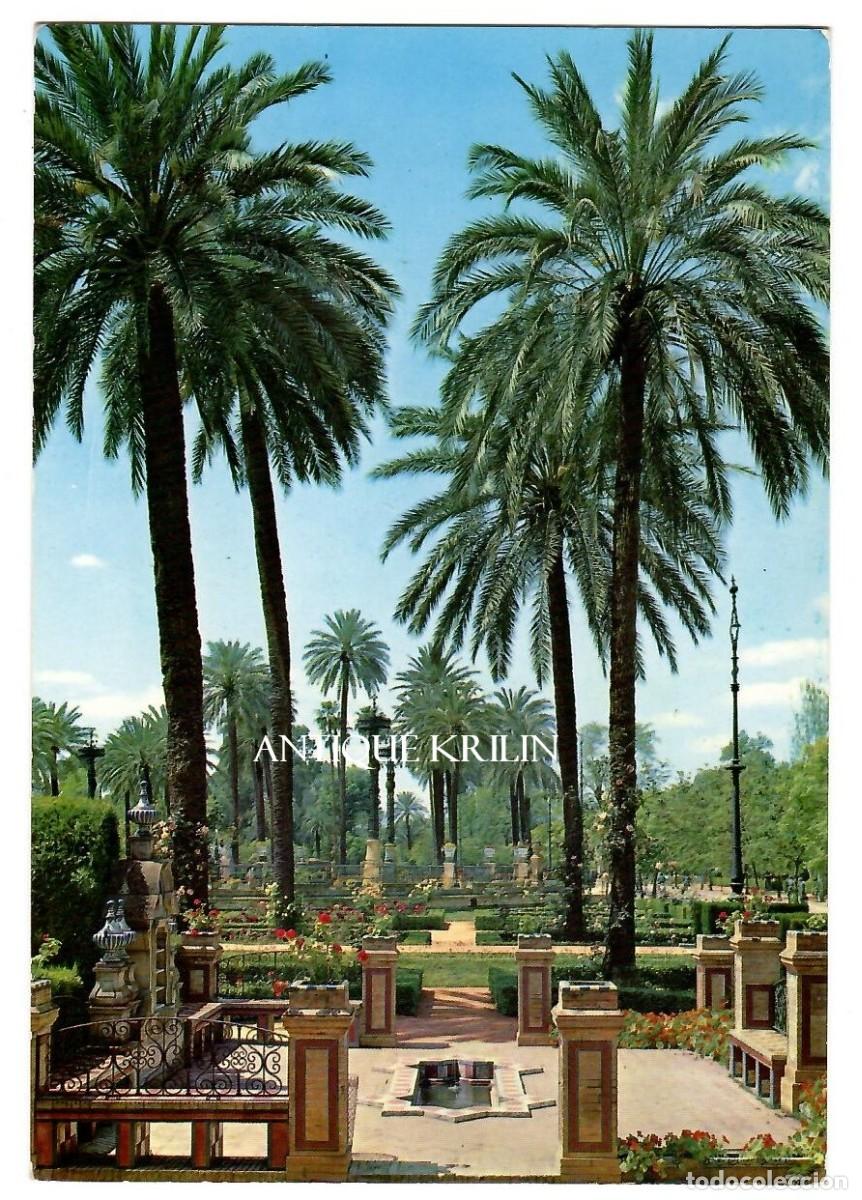 Postales: SEVILLA N&ordm; 384 PLAZA DE AMERICA / EDICION SUBIRATS / SIN FRANQUEAR