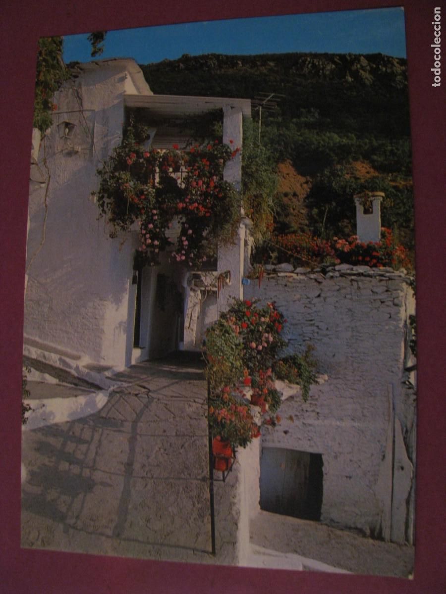 Postales: POSTAL DE LA ALPUJARRA. PAMPANEIRA. CALLE FUENTE CERRILLO. ARCO IRIS