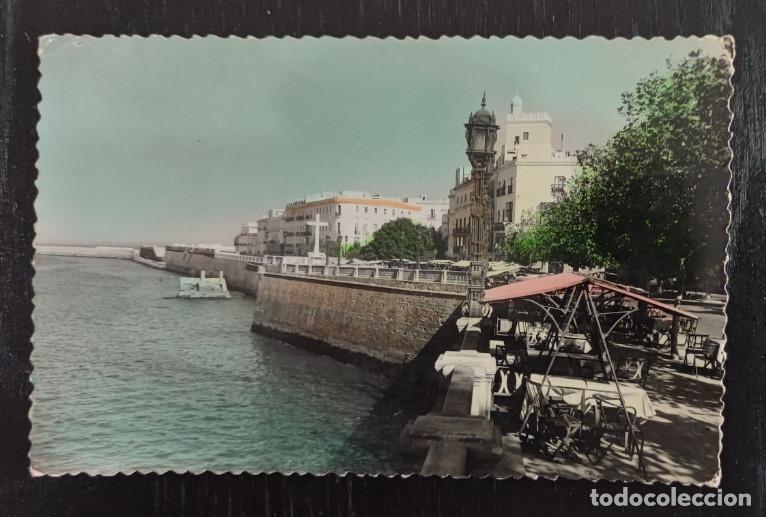 Postales: CADIZ, ALAMEDA APODACA, POSTAL ANTIGUA