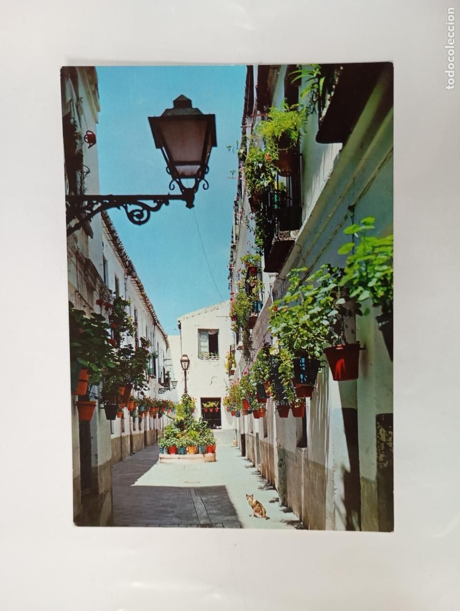 Postales: POSTAL DE M&Aacute;LAGA. PASAJE DE CLAVERO. TDKP30Q