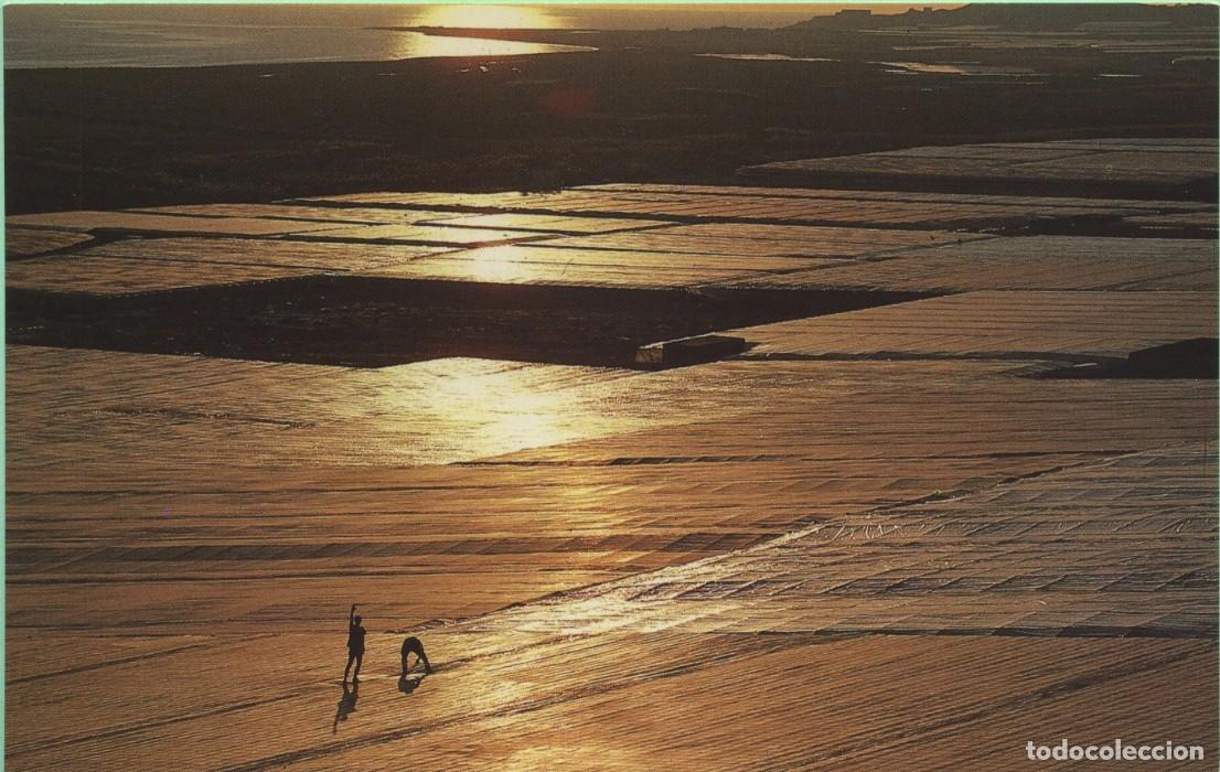 Postales: El mar de pl&aacute;stico. Almer&iacute;a. Sin circular. ED. LA RURAL