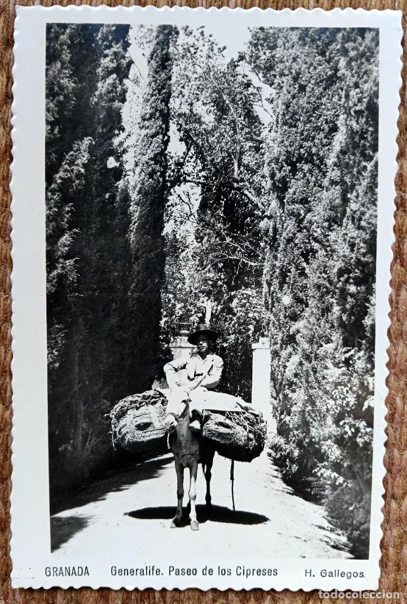 Postales: GRANADA - GENERALIFE - ED. GALLEGOS