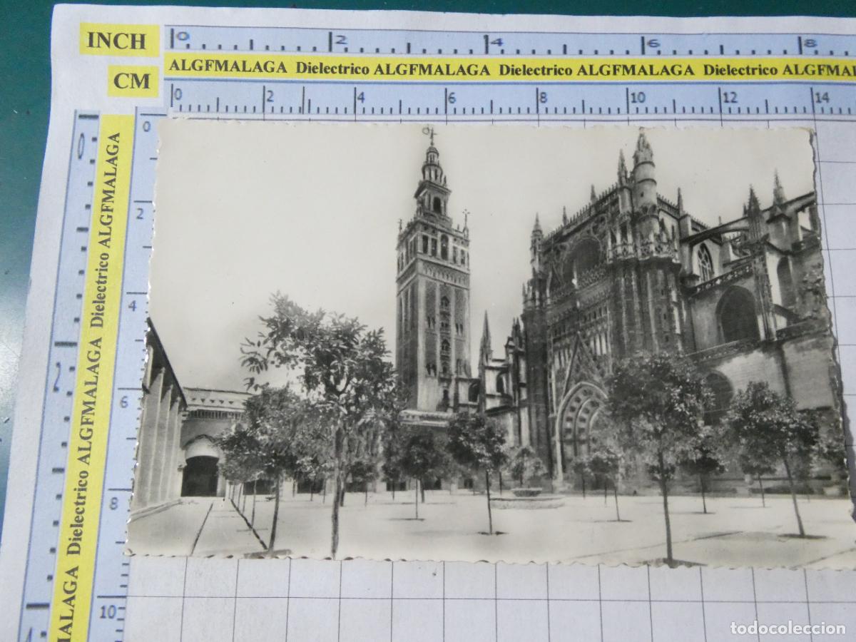 Postales: POSTAL DE SEVILLA. A&Ntilde;OS 30 50. PATIO DE LOS NARANJOS CATEDRAL 115 HELIOTIPIA. 456