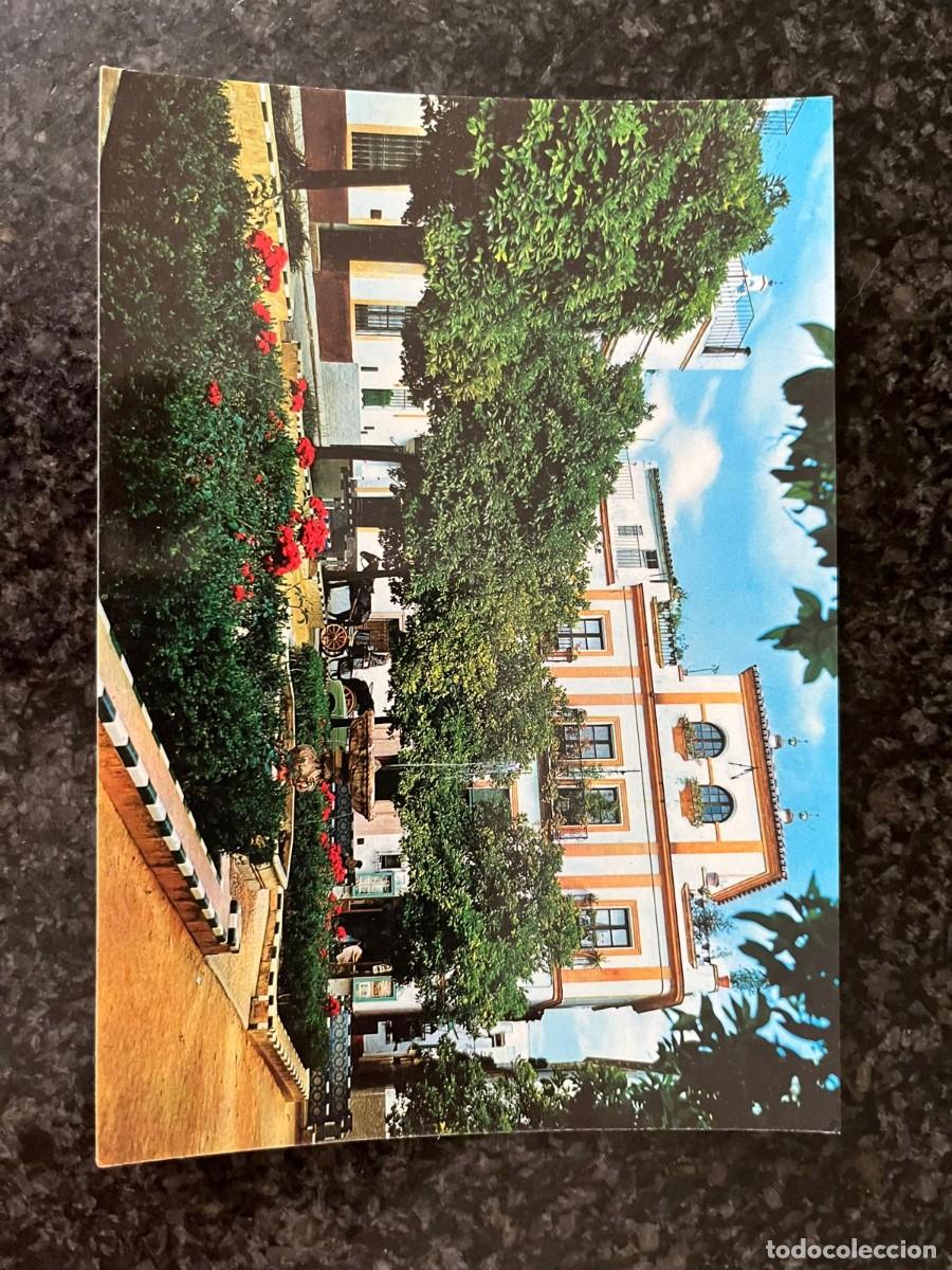 Postales: 534 Sevilla plaza de Do&ntilde;a Elvira sin circular