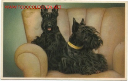 Postkarten: DOS PERROS en un sill&oacute;n .Postal Belga