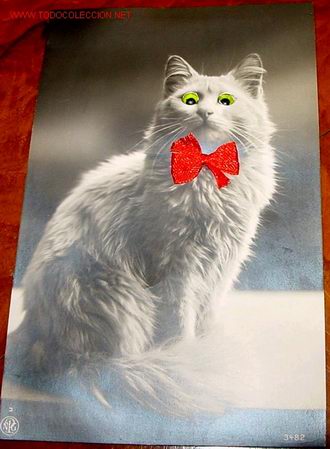 Postcards: ANTIGUA POSTAL DE GATO CON OJOS DE CRISTALL Y LAZO DE TELA