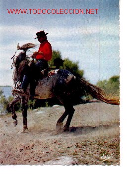 Postcards: 7-759. Jinete y su Montura