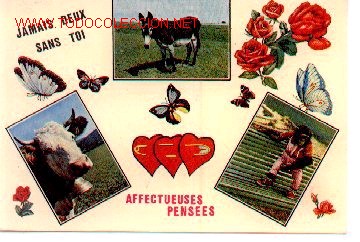 Postales: 7-764. Postal Animales