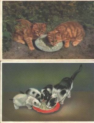 Postales: Gatos - Foto 1