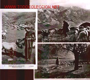 Postales: 3 postalesde ovejas - Foto 1