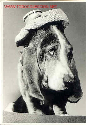 Postcards: IMPRIME  FRANCE PASRIS  PH0002