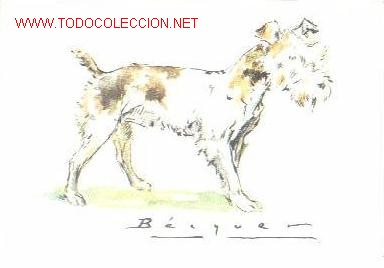 Postales: BECQUER PERROS. Serie B. N&ordm;. 8