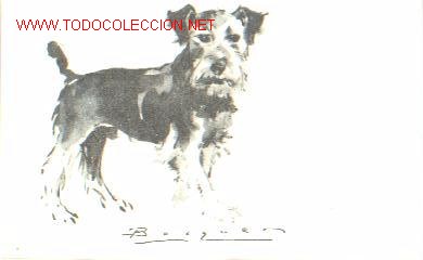 Postales: BECQUER PERROS. Serie B. N&ordm;. 10