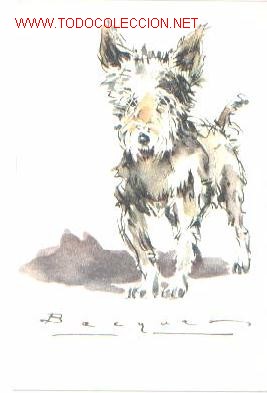 Postales: BECQUER PERROS. Serie B. N&ordm;. 12