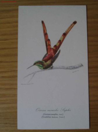 Postales: P&aacute;jaro - Foto 1