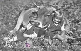 Postkarten: POSTAL CIRCULADA A&Ntilde;O 1954 SUIZA NI&Ntilde;OS CON UNA VACA FRISONA