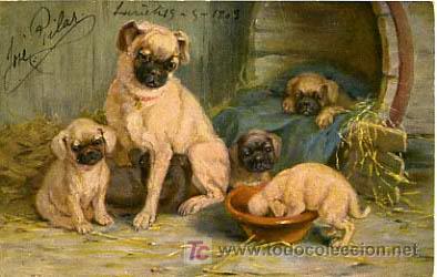 Postkarten: POSTAL ILUSTRADA, PERROS Y PERRITOS      P12471