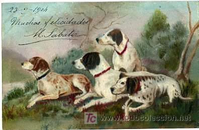 Postkarten: POSTAL ILUSTRADA, PERROS Y PERRITOS      P12483