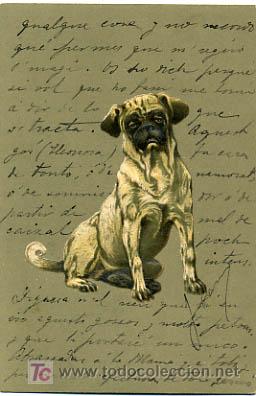 Postcards: POSTAL ILUSTRADA, PERROS Y PERRITOS,  CON RELIEVE    P12487