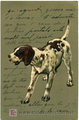 Postcards: POSTAL ILUSTRADA, PERROS Y PERRITOS,  CON RELIEVE    P12488